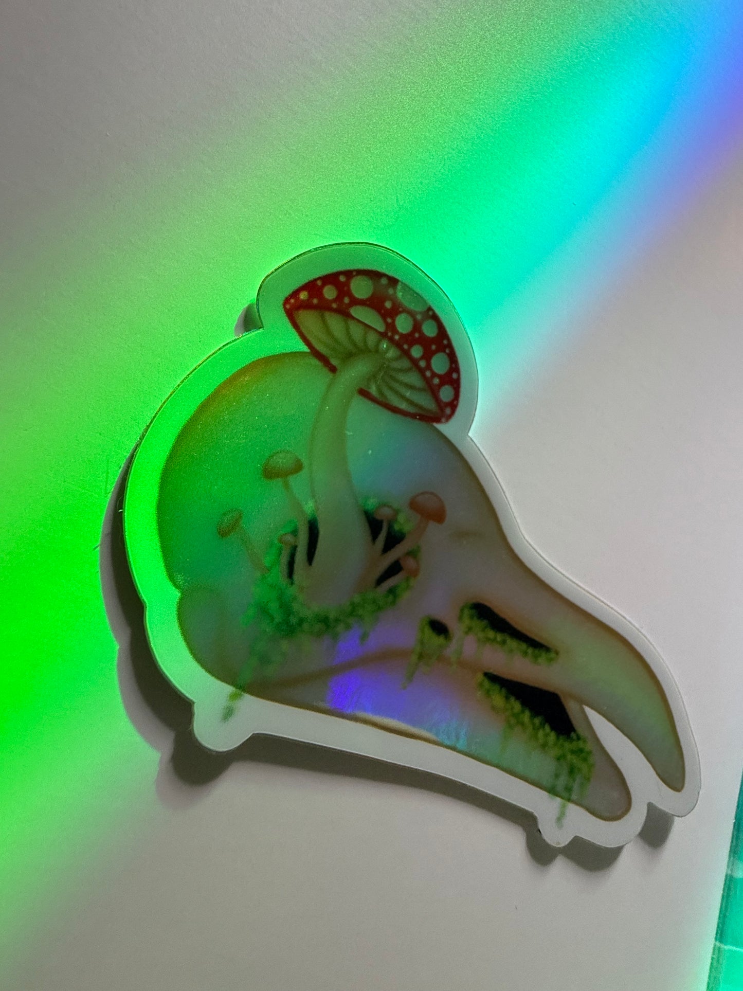 Holographic Raven Skull + Mushrooms